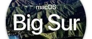 macOS Big Sur 11.0 DP1 (20A4299v)